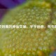 温柔到爆的神仙文案，字字治愈，句句暖心