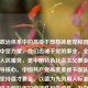 中国政治体系中的高级干部群体是党和国家事业的中坚力量，他们忠诚于党的事业，全心全意为人民服务，是中国特色社会主义事业发展的领导核心。中国共产党高度重视干部队伍建设，坚持德才兼备、以德为先的用人标准，确保高级干部队伍的纯洁性和先进性，为中国的繁荣稳定和长治久安提供了坚强的组织保证。