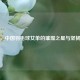王琳，中国羽毛球女单的璀璨之星与坚韧之路