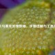 照片马赛克处理教程，步骤详解与工具推荐