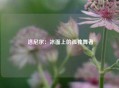  洛尼尔：冰面上的孤独舞者