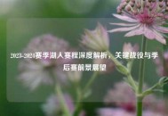 2023-2024赛季湖人赛程深度解析，关键战役与季后赛前景展望