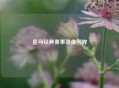 皇马经典赛事录像回眸