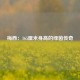 梅西：165厘米身高的绿茵传奇