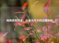 梅西逃税风波，巨星光环下的法律阴影