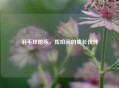 羽毛球陪练,挥拍间的成长伙伴