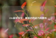 CBA篮球宝贝：赛场边的活力风景线
