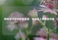 西班牙子甲级联赛直播：绿茵场上的青春风暴