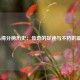 NBA得分榜历史：传奇的足迹与不朽的篇章