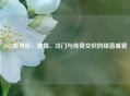 2022世界杯，激情、冷门与传奇交织的绿茵盛宴