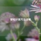 契税计算方法详解