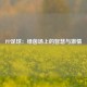 PP足球：绿茵场上的智慧与激情