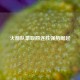 火箭队豪取四连胜强势崛起