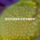 青岛中能赛季征程全面解析