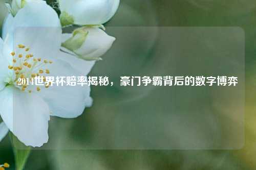 2014世界杯赔率揭秘，豪门争霸背后的数字博弈