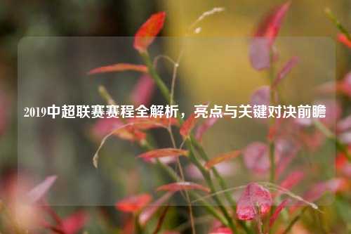 2019中超联赛赛程全解析，亮点与关键对决前瞻