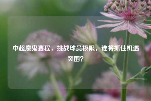 中超魔鬼赛程，挑战球员极限，谁将抓住机遇突围？