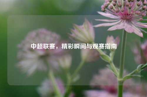中超联赛，精彩瞬间与观赛指南