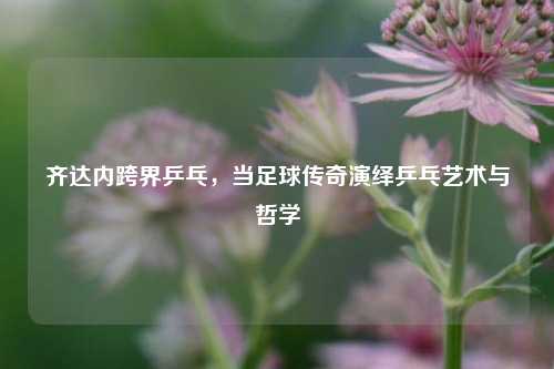 齐达内跨界乒乓，当足球传奇演绎乒乓艺术与哲学