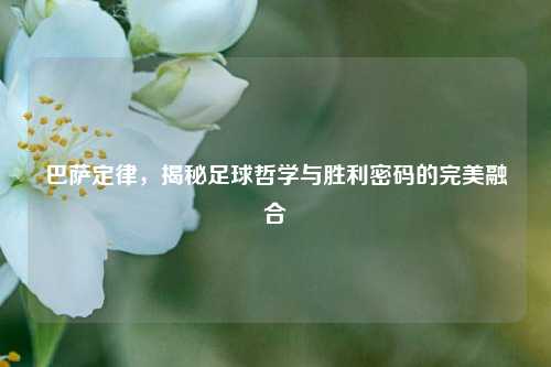 巴萨定律，揭秘足球哲学与胜利密码的完美融合