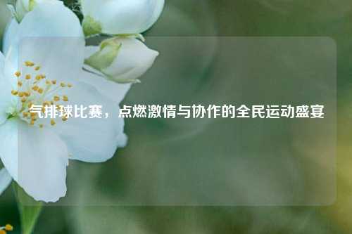 气排球比赛，点燃激情与协作的全民运动盛宴