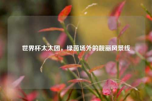 世界杯太太团，绿茵场外的靓丽风景线