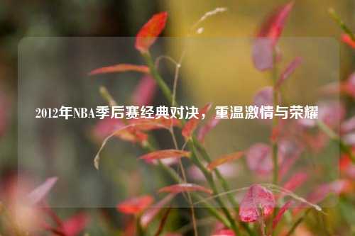 2012年NBA季后赛经典对决，重温激情与荣耀