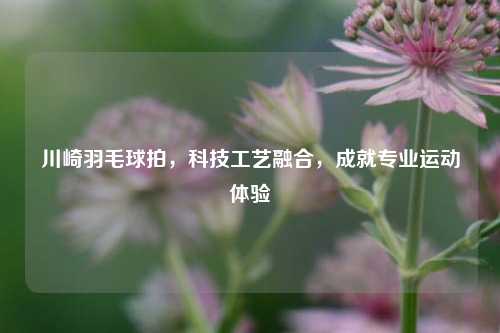 川崎羽毛球拍，科技工艺融合，成就专业运动体验