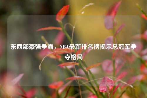 东西部豪强争霸，NBA最新排名榜揭示总冠军争夺格局