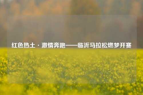 红色热土·激情奔跑——临沂马拉松燃梦开赛