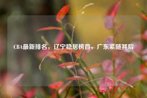 CBA最新排名，辽宁稳居榜首，广东紧随其后
