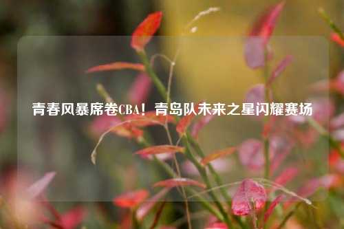 青春风暴席卷CBA！青岛队未来之星闪耀赛场