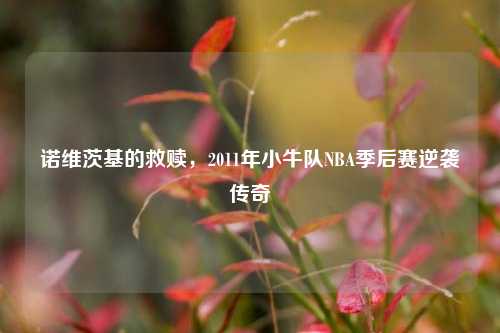诺维茨基的救赎，2011年小牛队NBA季后赛逆袭传奇