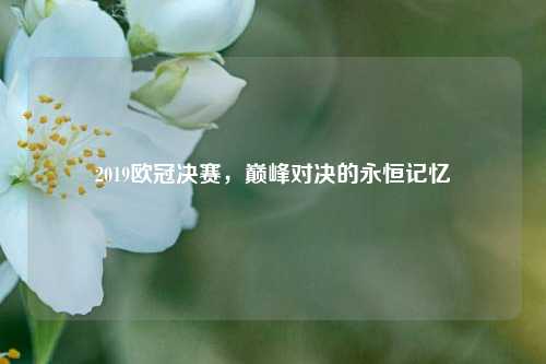 2019欧冠决赛，巅峰对决的永恒记忆