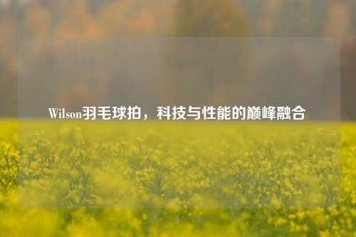 Wilson羽毛球拍,科技与性能的巅峰融合