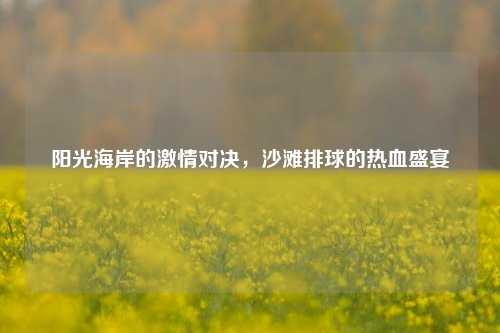 阳光海岸的激情对决，沙滩排球的热血盛宴