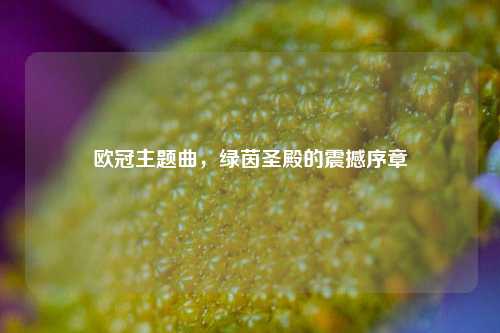 欧冠主题曲，绿茵圣殿的震撼序章