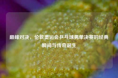 巅峰对决，伦敦奥运会乒乓球男单决赛的经典瞬间与传奇诞生