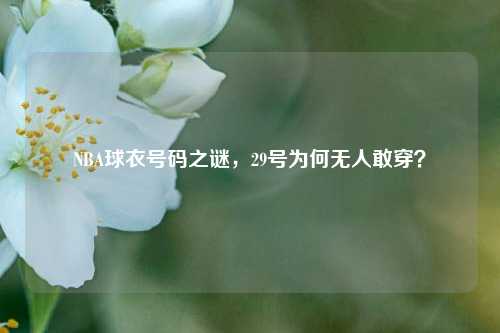 NBA球衣号码之谜，29号为何无人敢穿？
