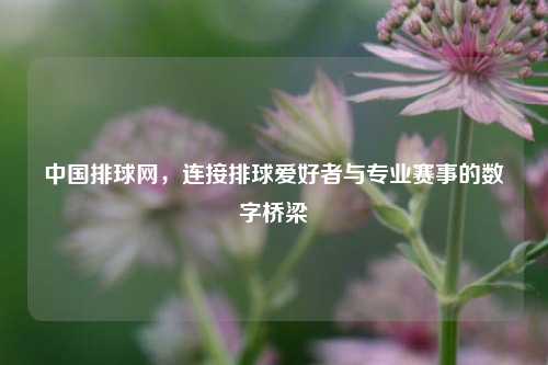 中国排球网，连接排球爱好者与专业赛事的数字桥梁