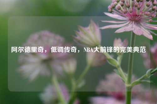 阿尔德里奇，低调传奇，NBA大前锋的完美典范