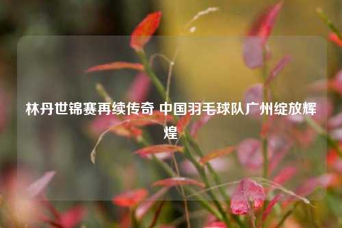 林丹世锦赛再续传奇 中国羽毛球队广州绽放辉煌