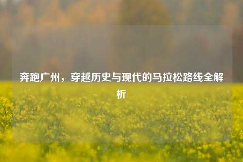 奔跑广州，穿越历史与现代的马拉松路线全解析
