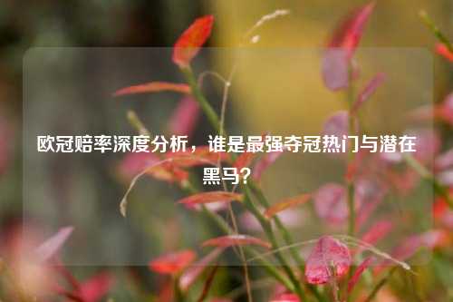 欧冠赔率深度分析，谁是最强夺冠热门与潜在黑马？