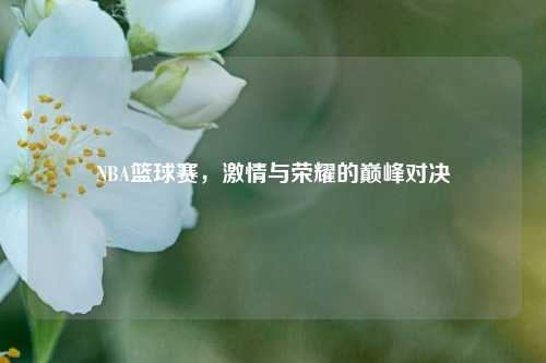 NBA篮球赛，激情与荣耀的巅峰对决