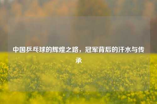 中国乒乓球的辉煌之路，冠军背后的汗水与传承