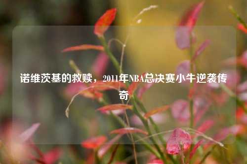 诺维茨基的救赎，2011年NBA总决赛小牛逆袭传奇