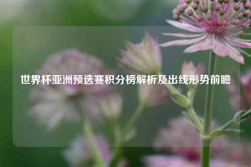 世界杯亚洲预选赛积分榜解析及出线形势前瞻