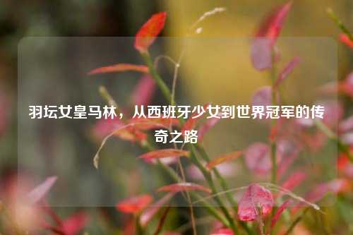 羽坛女皇马林，从西班牙少女到世界冠军的传奇之路