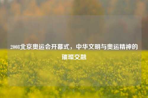 2008北京奥运会开幕式，中华文明与奥运精神的璀璨交融